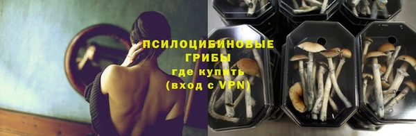 ПСИЛОЦИБИНОВЫЕ ГРИБЫ Алексин
