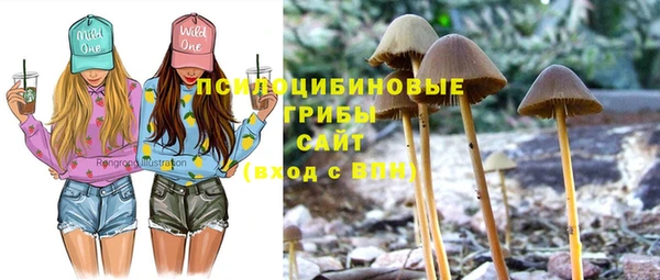 ПСИЛОЦИБИНОВЫЕ ГРИБЫ Алексин