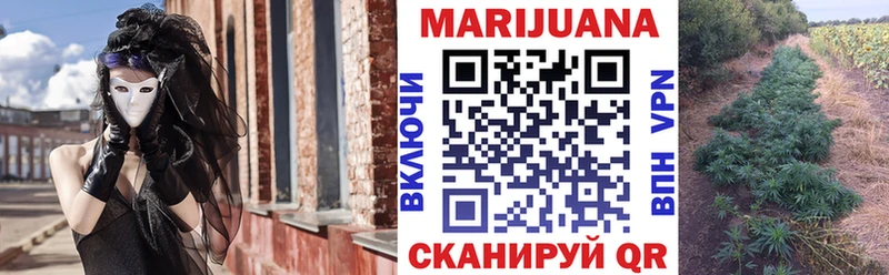 Бошки Шишки планчик  Нелидово 